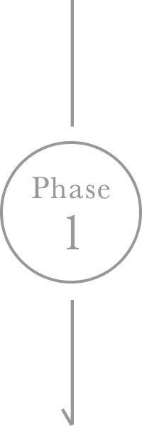 Phase1